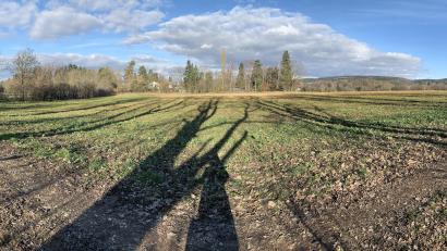 Bild: Gabi Schönberger
Die Flächen unterhalb des Butterhofs bis zur bestehenden Bebauung in Weiden-Ost hat die Stadt gekauft. Hier könnte Wohnbebauung entstehen.