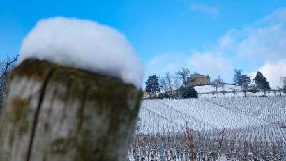 Bild: Bernd Weißbrod/dpa
Auch in Suttgart hat es geschneit.