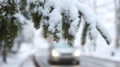 Symbolbild: Matthias Bein/dpa
Ein Auto fährt hinter einem schneebedeckten Zweig über die Straße. In Bayern haben sich wegen Schnee und Glätte einige Unfälle ereignet.