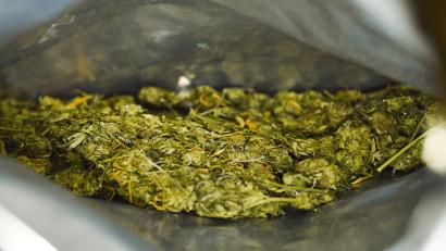 Symbolbild: Nicolas Armer /dpa 
Im Vorfeld der Razzia am Dienstag sind 20 Kilogramm Marihuana sichergestellt worden. Durchsuchungen fanden in Amberg, Pressath (Ldkr. Neustadt/Waldnaab), Weiden und München statt.