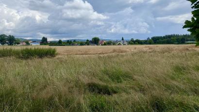 Archivbild: Eichl
Blick vom Waldrand aus auf das geplante Gewerbegebiet „Sauernlohe“, in dem zum Teil auch urbanes Wohnen möglich sein wird.