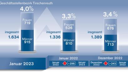Bild: Grafik: Marina Gube/Quelle: Agentur für Arbeit
Die Arbeitslosenzahlen im Landkreis Tirschenreuth im Januar 2023.