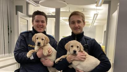 Bild: Polizeiinspektion Tirschenreuth/exb
Die beiden Polizisten Kevin Weiß und Alexander Faltenbacher (von links) mit den ausgebüxten Welpen.