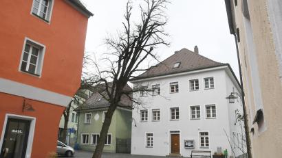 Bild: Gabi Schönberger
Pfarrplatz Akazie muss fallen