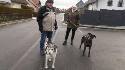 Bild: rn
Die Stadt Eschenbach überlegt eine Anleinpflicht für Hunde. Damit hätte dieses Paar kein Problem. Es leint seine Hunde bereits generell an.