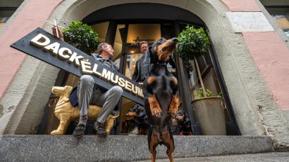 Bild: Armin Weigel/dpa
Seppi Küblbeck (l) und Oliver Storz mit ihren drei Dackeln vor ihrem zukünftigen Dackelmuseum in Regensburg.