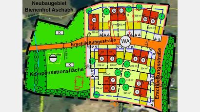 Grafik: Landschaftsarchitekt Siegfried Lösch/exb 
Der Bebauungsplan "Zum Bienenhof" in Aschach weist insgesamt 13 Bauparzellen mit Einzel- und Doppelhäusern (rot) aus. Das Wohngebiet soll über eine Straße erschlossen werden. Zur Erhaltung von Natur und Landschaft ist eine Kompensationsfläche (grün) vorgesehen.
