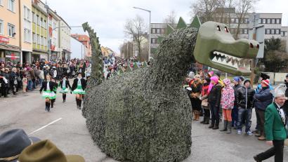 Archivbild: Gerhard Götz
Beim ostbayerischen Faschingszug 2013 war der Lindwurm vor tausenden Zuschauern unterwegs.