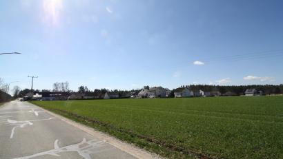 Bild: bjp
Ein Grüngürtel könnte die Schwarzenbacher "Siedlung" in einigen Jahren entlang des Ulmenwegs von Norden her abgrenzen. Insgesamt 19 "Projekte" sieht das Neugestaltungs-Vorkonzept für den in die Jahre gekommenen Ortsteil vor.