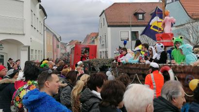 Bild: wrl
Dicht drängten sich die Besucher am Straßenrand, als die Faschingswägen durch Pfreimd zogen.
