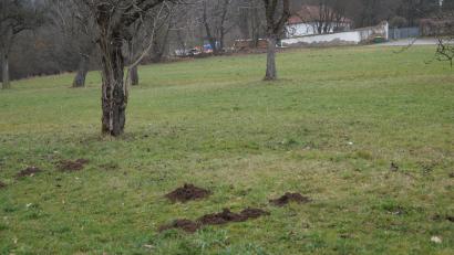 Bild: wel
Für das Grünerwald-Anwesen am Ortsausgang von Gaisthal unterhalb des Friedhofs wurde ein Bebauungsplan erstellt. Die Erschließung des Baugebiets befindet sich auch bereits in der Planung