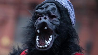 Bild: Fredrik von Erichsen
Die Amberger Polizei hat den Fall um den Masskrug werfenden Gorilla beim Riedener Faschingsumzug gelöst.