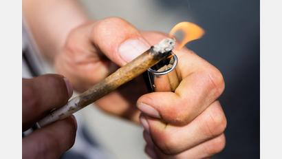 Symbolbild: Christoph Soeder
Holetschek ist gegen eine Legalisierung von Cannabis in Deutschland.