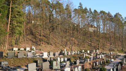Bild: bnr
Viele der Kiefern oberhalb des Wernberger Friedhofs sind bereits verdorrt. Sie stellen ein Sicherheitsrisiko für die Friedhofsbesucher und die Grabstellen dar.