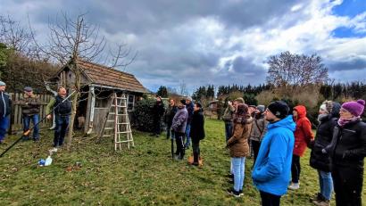 Bild: Georg Hirsch/exb
Der geordnete Kronenaufbau bei jungen Obstbäumen war ein Thema beim Schnittkurs des Gartenbauvereins Pfreimd.