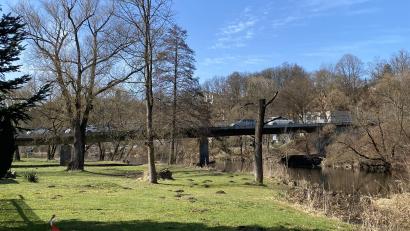 Bild: Julia Fienz/exb
Waldnaabbrück