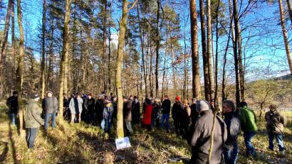 Bild: Maderer/exb
Wie die Balance zwischen Waldnutzung und -pflege gehalten werden kann, erfuhren interessierte Waldbesitzer im Neunburger Spitalwald. Es wurde auch erläutert, welche Baumarten in Zeiten des Klimawandels in den Wald der Zukunft gehören.