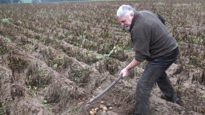 Bild: Hirsch
Der Klimawandel hat die Kartoffelanbauer voll erwischt. Die Folge der Trockenheit sind Ernteeinbußen. Die Mitglieder der Erzeugergemeinschaft müssen darauf mit der Bewässerung der Felder reagieren.