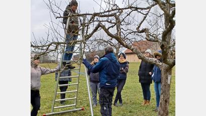 Bild: Thoma/AELF Nabburg/exb
Die Studierenden der Landwirtschaftsschule Abteilung Hauswirtschaft in Nabburg versuchen sich in den erlernten Schnitttechniken.