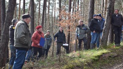 Bild: bnr
Die Kiefernschäden im Naabtal waren Gegenstand einer Sammelberatung der Waldbauern. Die Waldfachleute Yvonne Wolfrum, Regina Härtl, Alexander Glaser und Hubert Amode gaben Antworten und zeigten Lösungswege auf.