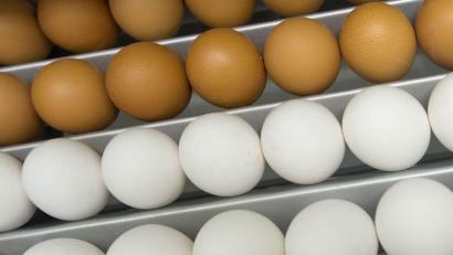 Symbolbild: Peter Endig/dpa
Die Bewohner Ursensollens können den beschädigten Selbstbedienungsautomaten in der Osterwoche wohl nicht mehr nutzen.