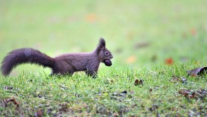 Symbolbild: Felix Kästle/dpa