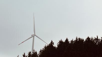 Bild: Eichl
Im Waldgebiet „Kogerie“ könnten sich einmal Windräder drehen. Der Gemeinderat benennt das Gebiet als Potenzialfläche für Windkraftanlagen.