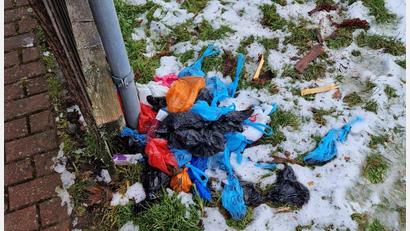 Bild: Bauhof/exb
Dort, wo so sonst Mülleimer montiert sind, liegen nun die Hundebeutel einfach so am Rasen. Ein Beispiel dafür: Der Spielplatz am Rumpler in Neustadt/WN.