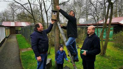 Bild: gz
Vorsitzender Martin Eckert (rechts), Stellvertreter Stefan Schmid (links) und Kassier Hans Zierer befestigen Nistkästen an den Bäumen im Vogelpark. Auch der Enkel von Zierer, der vierjährige Max Bulenda, hilft mit.