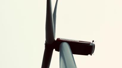 Bild: Eichl
Knapp 160 Hektar benennt der Markt als Potenzialflächen für Windkraft. Einige Hektar müssen noch als Erholungswald herausgerechnet werden, es bleiben dennoch mehr als die geforderten 1,8 Prozent Gemeindefläche.