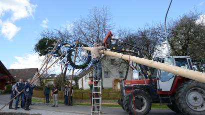 Bild: bey
Maibaumaufstellen Vöslesrieth