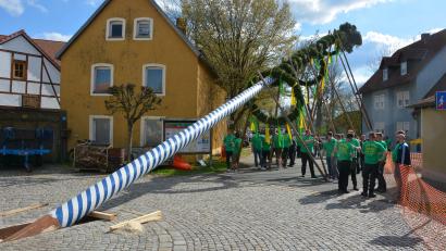 Bild: jr
Fast 50 Burschen brauchten gut dreieinhalb Stunden, um den 33 Meter langen Maibaum – eine Fichte – mit acht Schwalben in die Höhe zu hieven. Bei strahlendem Sonnenschein verfolgten zahlreiche Zuschauer das Spektakel.