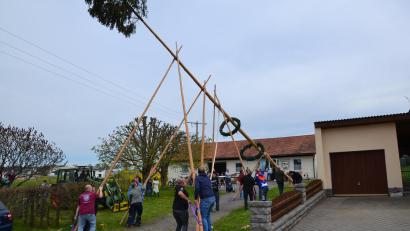 Bild: gi
Nach alter Tradition wurde ein Maibaum am Siedlerhaus aufgestellt. Der Frühlingsbote wurde anschließend durch zahlreiche Besucher gebührend gefeiert.
