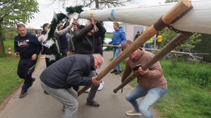 Bild: Kunz
Bei den Krumme-Äcker-Siedlern wird der Baum noch mit Muskelkraft angeschoben.