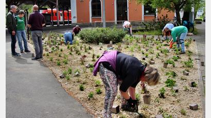 Bild: ds
Während jede der fleißigen Mitglieder des Gartenbauvereins Neukirchen rund 100 Pflanzen in die Erde einbrachte, erörterten Bürgermeister Peter Achatzi (links), Gartenbauvereinsvorsitzende Annemarie Hubmann und Kreisfachberater Markus Fuchs letzte Details der lobenswerten Aktion.