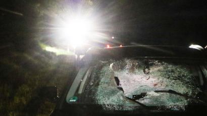 Symbolbild: Nadine Weigel/dpa
Im Bereich der Polizeiinspektion Kemnath nahmen die Unfälle im vergangenen Jahr im Vergleich zu 2021 zu. Ein Großteil davon waren Wildunfälle.