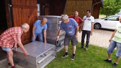 Bild: bkr
Die Sorge reist mit: Brieftaubenzüchter tun alles für das Wohlbefinden ihrer Vögel. Wohlversorgt gehen sie auf die Reise zum Auflassort. Strenge Vorschriften sind dabei zu beachten. Das Bild zeigt (von links) Hans Kreuzer, Norbert Prechtl, Bernhard Schultes bei der Versorgung der Tauben mit Wasser sowie Gerhard Brunner und Bernhard Popp.