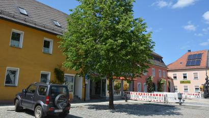 Bild: jr
In den Stamm dieser im Jahr 1995 gepflanzten Winterlinde am Oberen Marktplatz in Mitterteich wurden mehrere Löcher gebohrt. Noch ist offen, welche Folgen dies für den Baum hat.