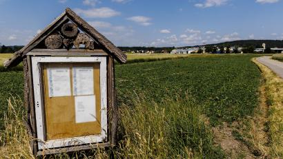 Bild: Hösamer
Nahe Ettmannsdorf (im Hintergrund) hat Manfred Beer aus Pretzabruck schon 2019 eine Blühweise angelegt und in diesem Jahr neu angesät.