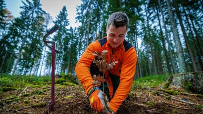 Archivbild: Martin Hertel/exb
Alexander Schirbel, Forstwirt-Azubi bei den Bayerischen Staatsforsten, pflanzte vor Kurzem Eichen am Fuß des Ochsenkopfs und macht damit den zukünftigen Wald unempfindlicher gegen den Klimawandel. Die Bayerischen Staatsforsten versuchen, auf die Herausforderungen des Klimawandels zu reagieren.