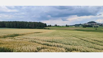 Bild: sne
Unverkennbar ist der Basaltkegel von Parkstein. Hier soll bald der Solarpark "Am Hardt" entstehen.