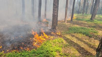 Archivbild: Christopher Dotzler
Der Schwandorfer Kreisbrandmeister warnt vor hoher Waldbrandgefahr. Auch ein Blick auf den Waldbrand-Gefahrenindex des Deutschen Wetterdienstes verheißt nichts Gutes – die Gefahr ist hoch.