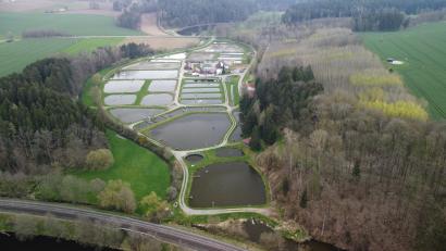 Bild: exb/Bezirk Oberfpalz
Gewollt oder nicht? Die neun Hektar große Fischzuchtanlage Wöllershof präsentiert sich aus der Luft wie wie ein Karpfen.