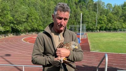 Bild: Daniel Wolf/exb
Eckard Mickisch mit Rotmilan Franzl im Fichtelgebirgsstadion.