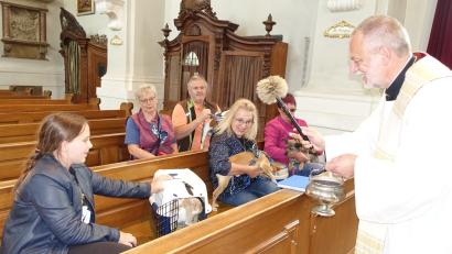 Bild: ads
Ganz schön tierisch ging es dieser Tage in der Pfarrkirche St. Vitus in Schnaittenbach bei der Tiersegnung durch Pfarrer Josef Irlbacher zu.