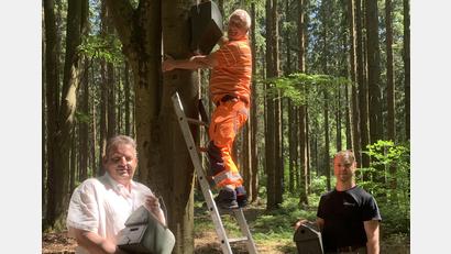 Bild: Stadt Schönsee/exb
Bürgermeister Reinhard Kreuzer, Josef Hellerbrand und Förster Michael Forster (von links) starteten das Fledermausprojekt der Stadt.
