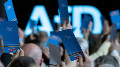 Symbolbild: Hendrik Schmidt/dpa
Die AfD möchte einen Kanzlerkandidaten aufstellen.