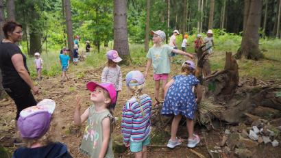 Bild: bl
Dieses Waldstück in der Nähe von Weidenthal ist für die Kindergartenkinder von St. Michael ein begehrter Spielplatz - und ein idealer Lernort. Im Bild rechts wird gerade das Feen-Haus mit Grashalmen dekoriert. Links Kindergarten-Leiterin Katja Baumer.