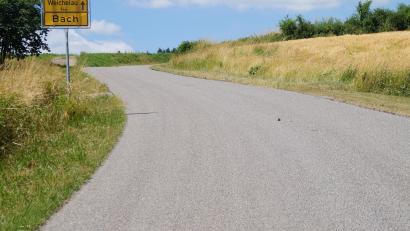Bild: wel
Noch liegt Rollsplit auf der Gemeindeverbindungsstraße Bach-Weichelau, weswegen die Strecke auf Kilometer in der Stunde begrenzt ist. Der Auftrag zur Oberflächenbehandlung wurde bereits vergeben
