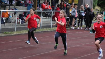 Bild: kro
Sprintrennen beim 2. Kinderleichtathletik-Wettkampf des Kreises Oberpfalz-Nord im Wiesauer Sportzentrum.